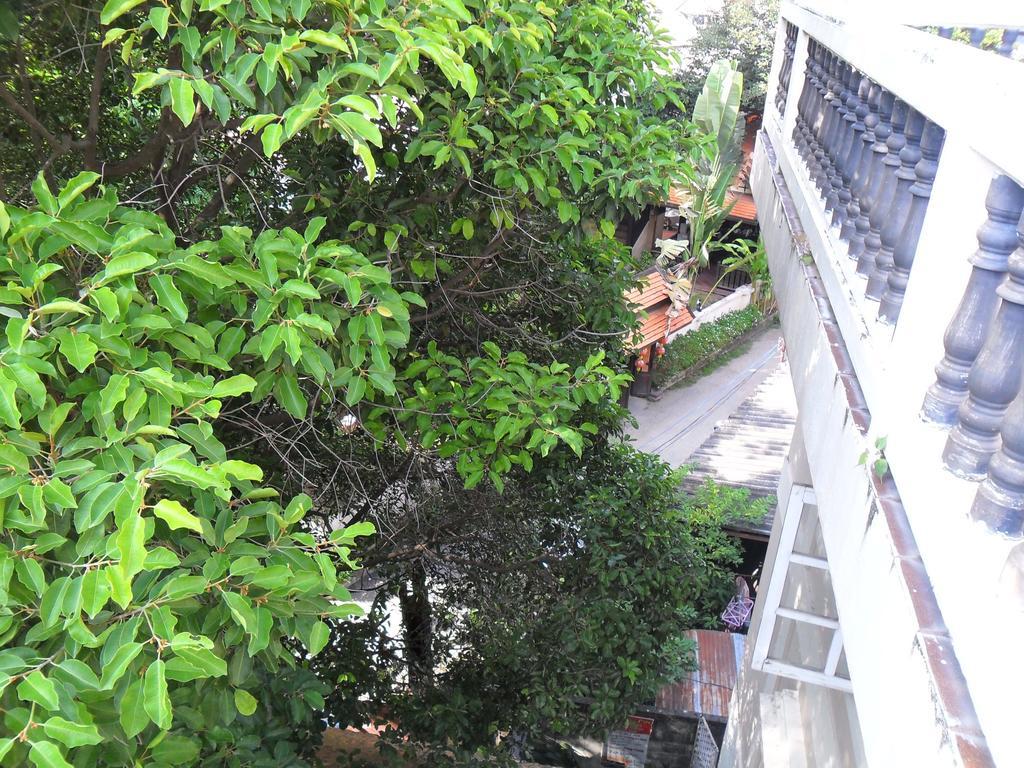 Chiangmai Inn Guesthouse Чіангмай Екстер'єр фото